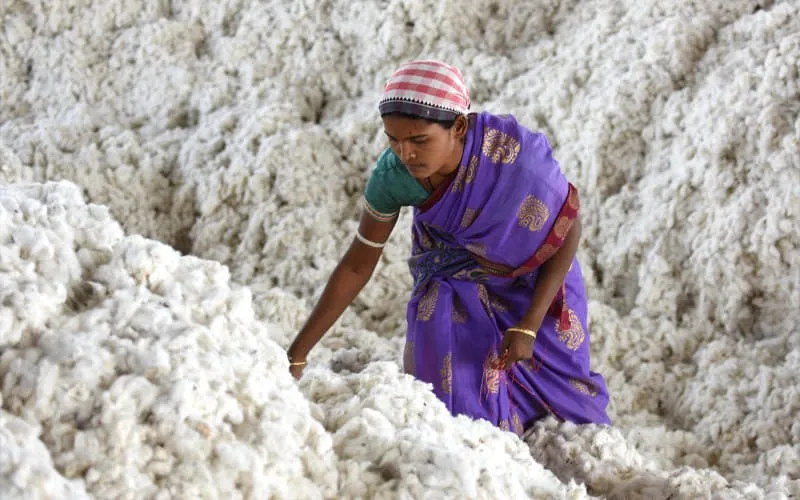 ind_4419.jpg
